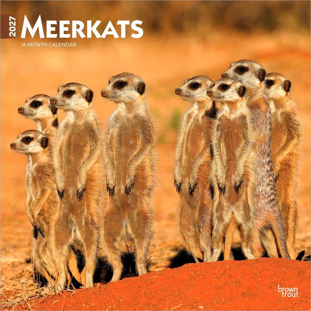 Meerkats 2027 Wall Calendar Main Product Image