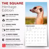 image Meerkats 2027 Wall Calendar Fifth Alternate Image