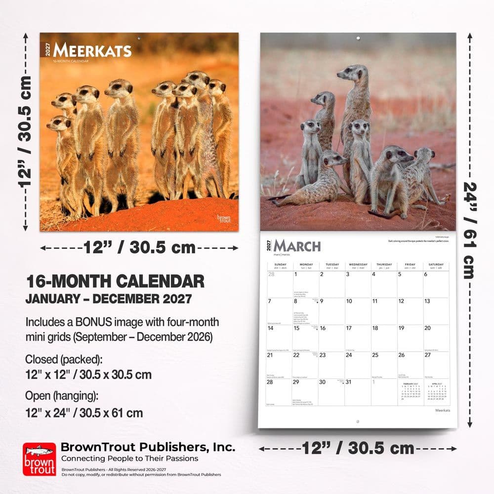 Meerkats 2027 Wall Calendar Sixth Alternate Image