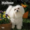image Maltese 2027 Mini Wall Calendar Main Product Image