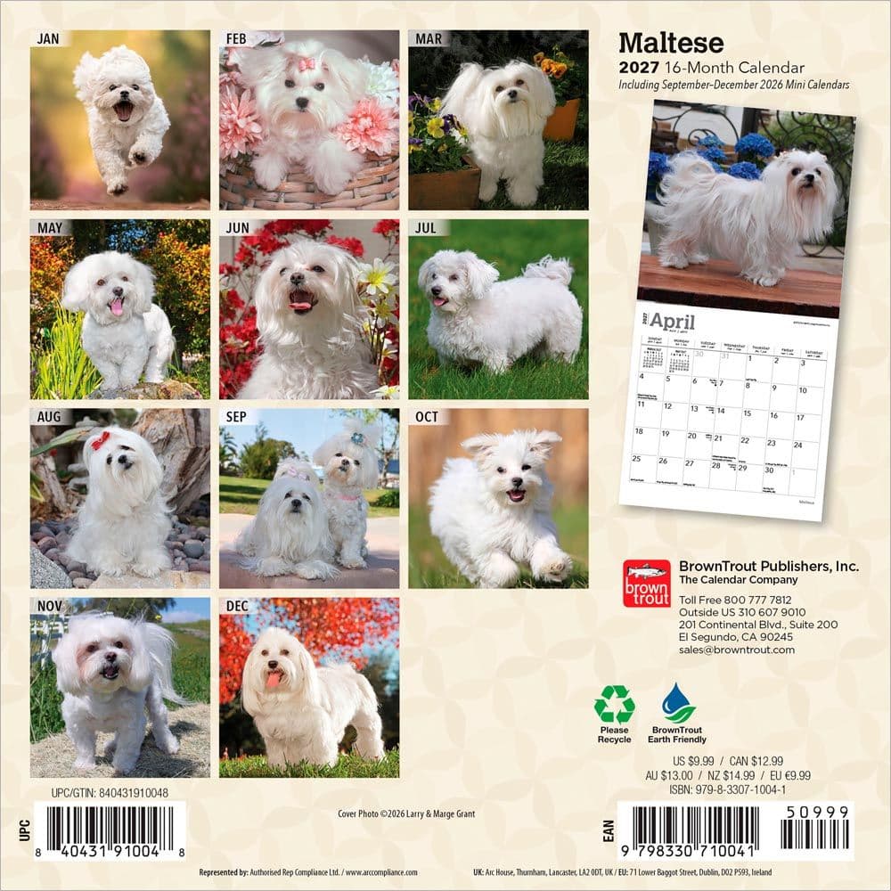 Maltese 2027 Mini Wall Calendar First Alternate Image