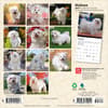 image Maltese 2027 Mini Wall Calendar First Alternate Image