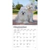 image Maltese 2027 Mini Wall Calendar Third Alternate Image