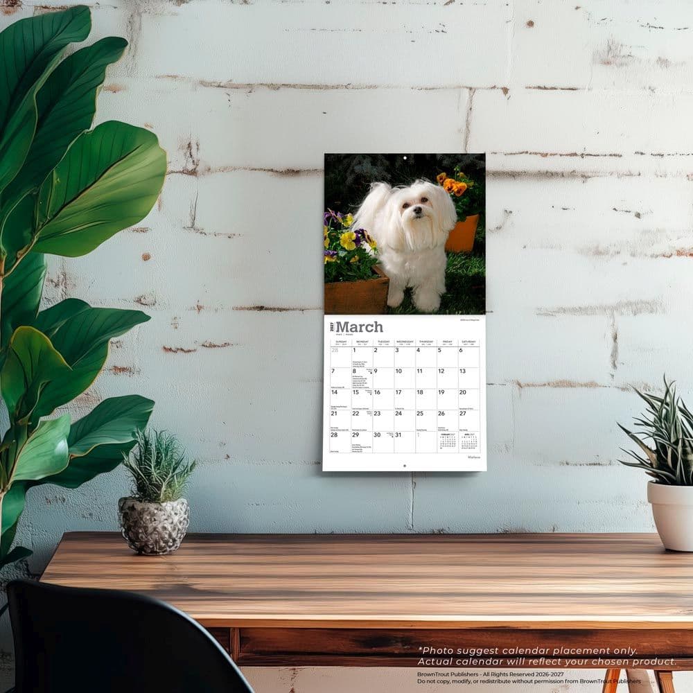 Maltese 2027 Mini Wall Calendar Fourth Alternate Image