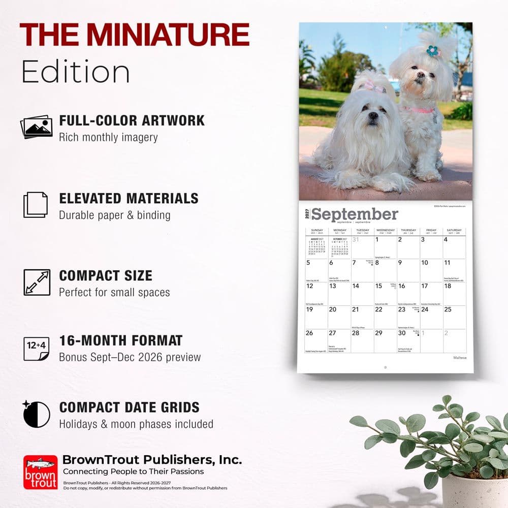 Maltese 2027 Mini Wall Calendar Fifth Alternate Image
