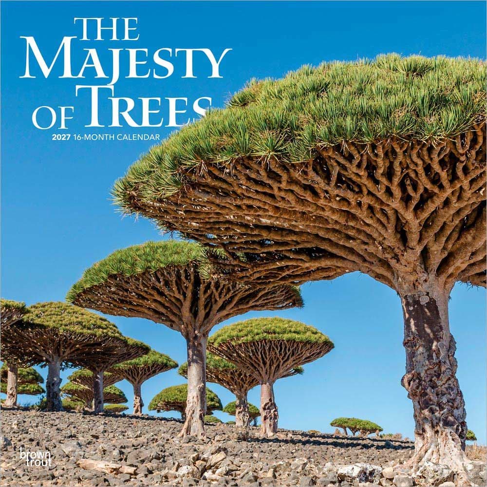 Majesty of Trees 2027 Wall Calendar Main Product Image