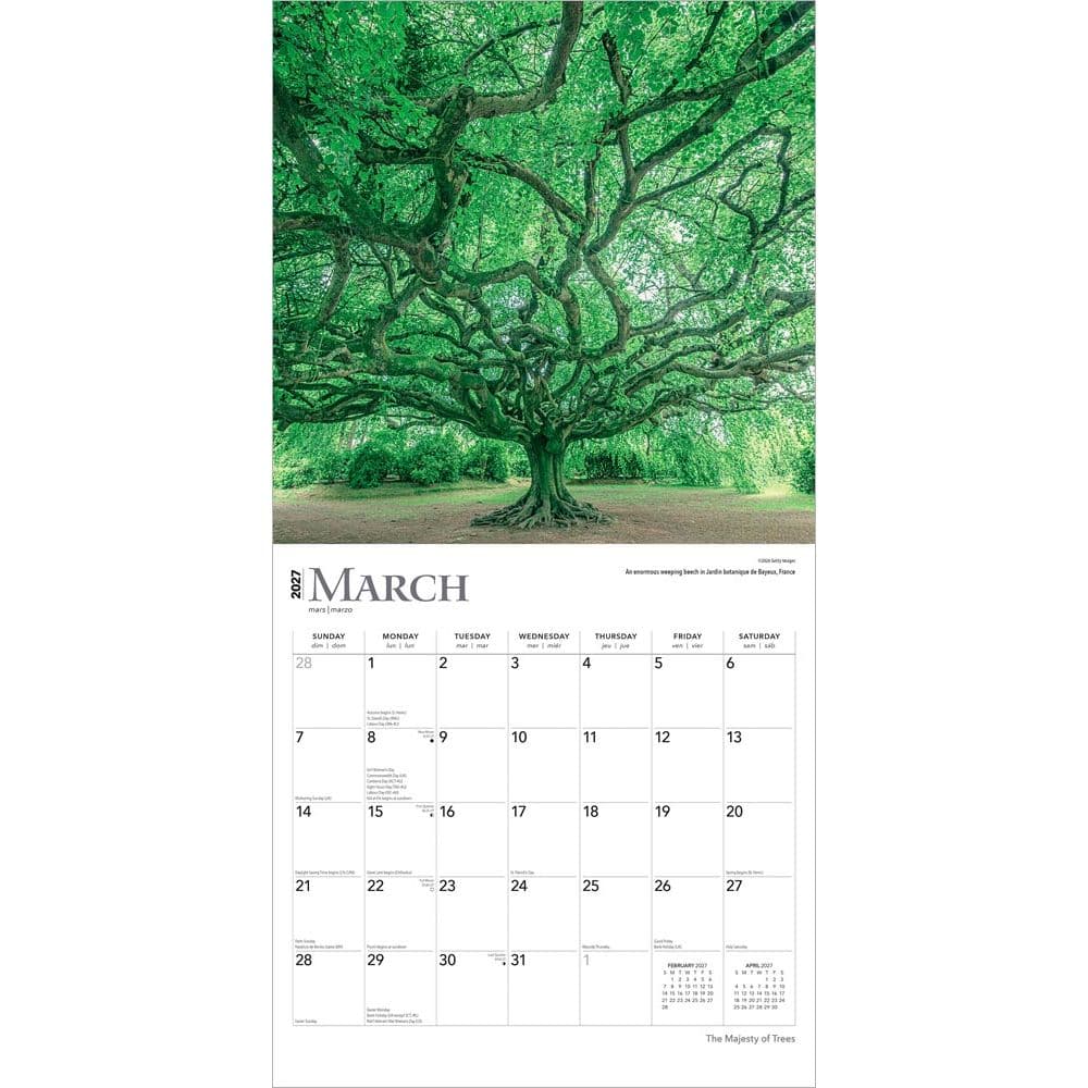 Majesty of Trees 2027 Wall Calendar Second Alternate Image