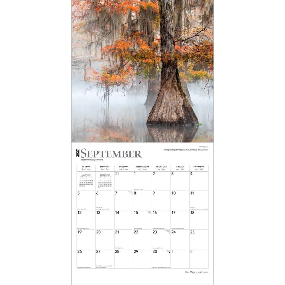 Majesty of Trees 2027 Wall Calendar Third Alternate Image