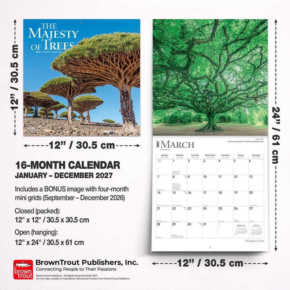 Majesty of Trees 2027 Wall Calendar Sixth Alternate Image