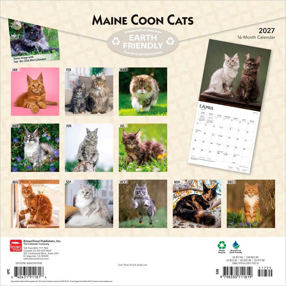 Cats Maine Coon 2027 Wall Calendar First Alternate Image