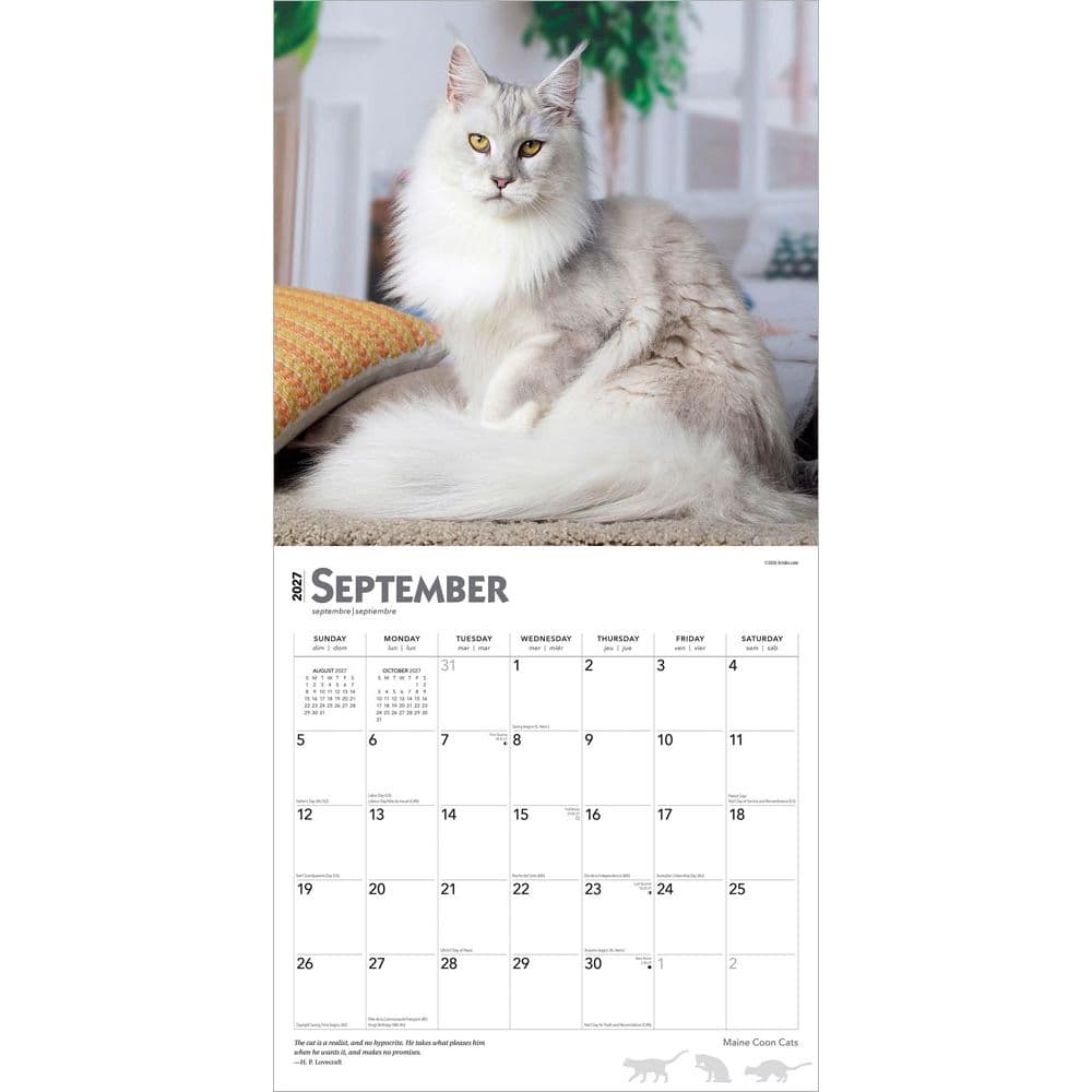 Cats Maine Coon 2027 Wall Calendar Third Alternate Image