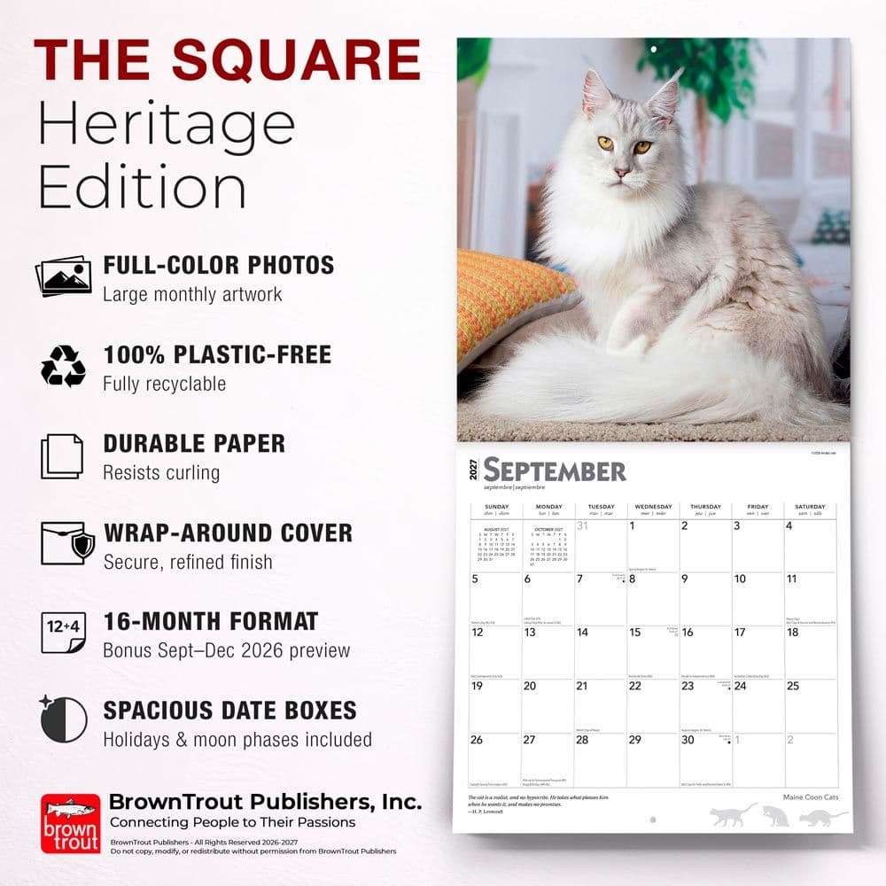 Cats Maine Coon 2027 Wall Calendar Fifth Alternate Image