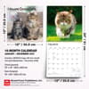image Cats Maine Coon 2027 Wall Calendar Sixth Alternate Image