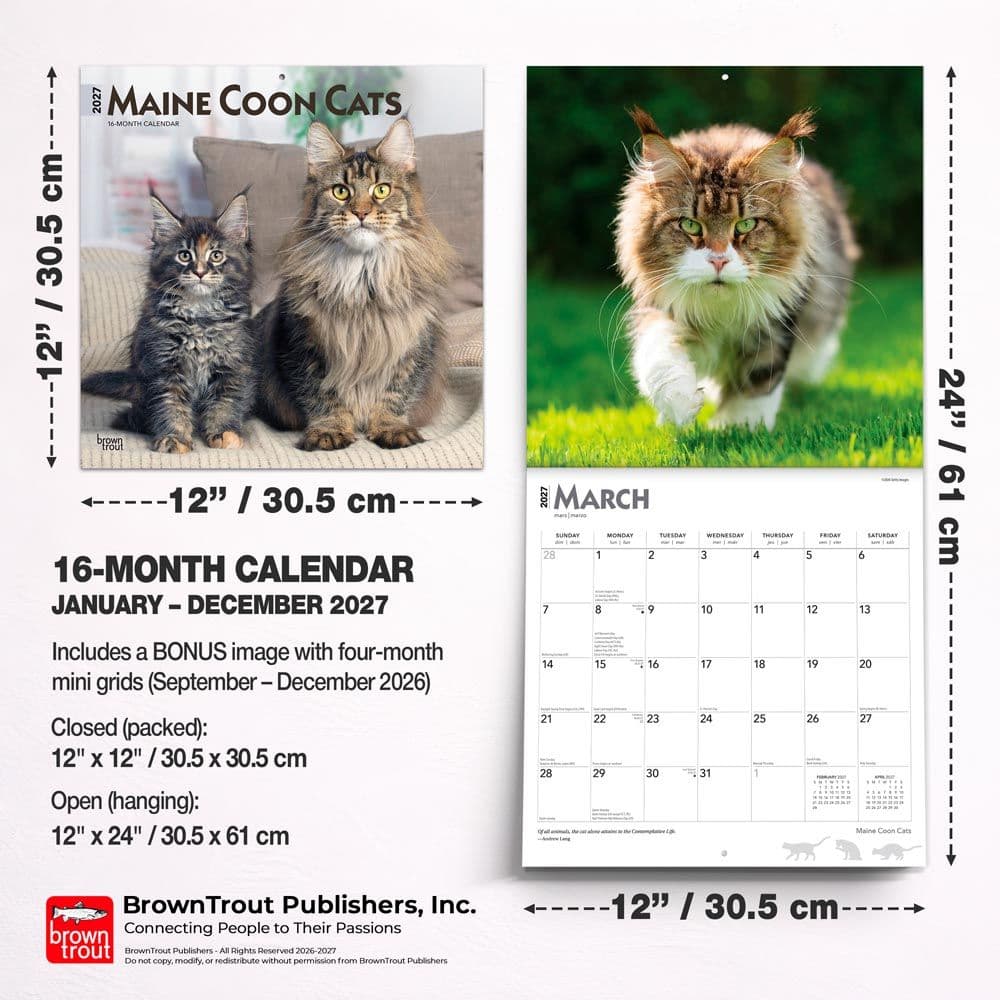 Cats Maine Coon 2027 Wall Calendar Sixth Alternate Image