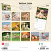 image Yellow Lab Retriever 2027 Wall Calendar First Alternate Image