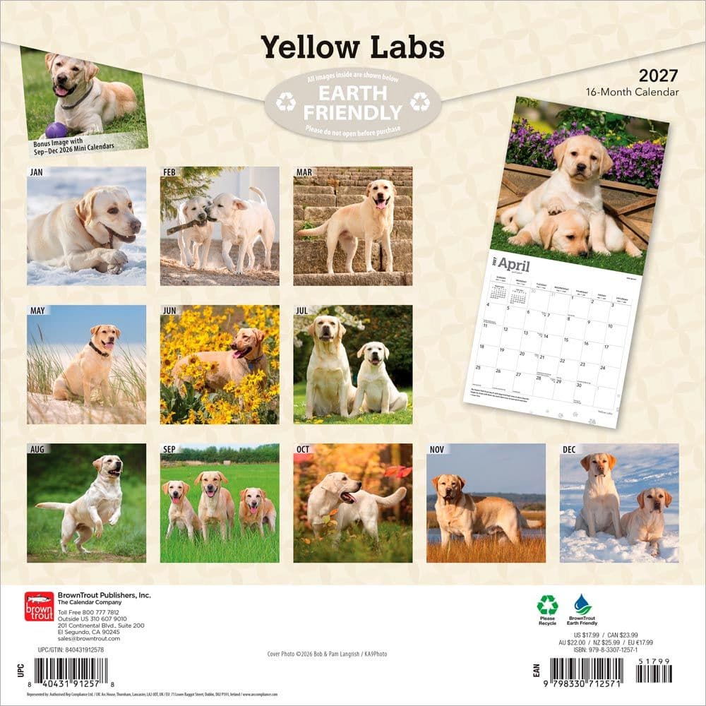 Yellow Lab Retriever 2027 Wall Calendar First Alternate Image