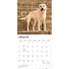 image Yellow Lab Retriever 2027 Wall Calendar Second Alternate Image