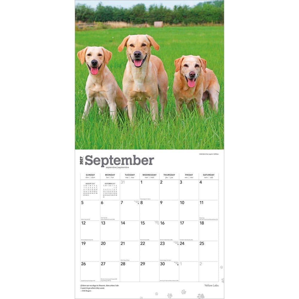 Yellow Lab Retriever 2027 Wall Calendar Third Alternate Image