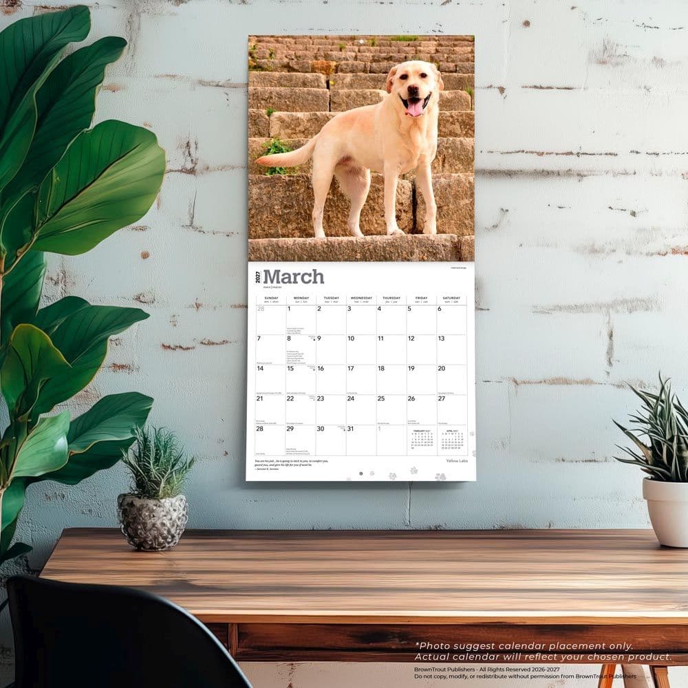 Yellow Lab Retriever 2027 Wall Calendar Fourth Alternate Image