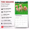 image Yellow Lab Retriever 2027 Wall Calendar Fifth Alternate Image