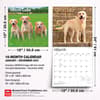 image Yellow Lab Retriever 2027 Wall Calendar Sixth Alternate Image