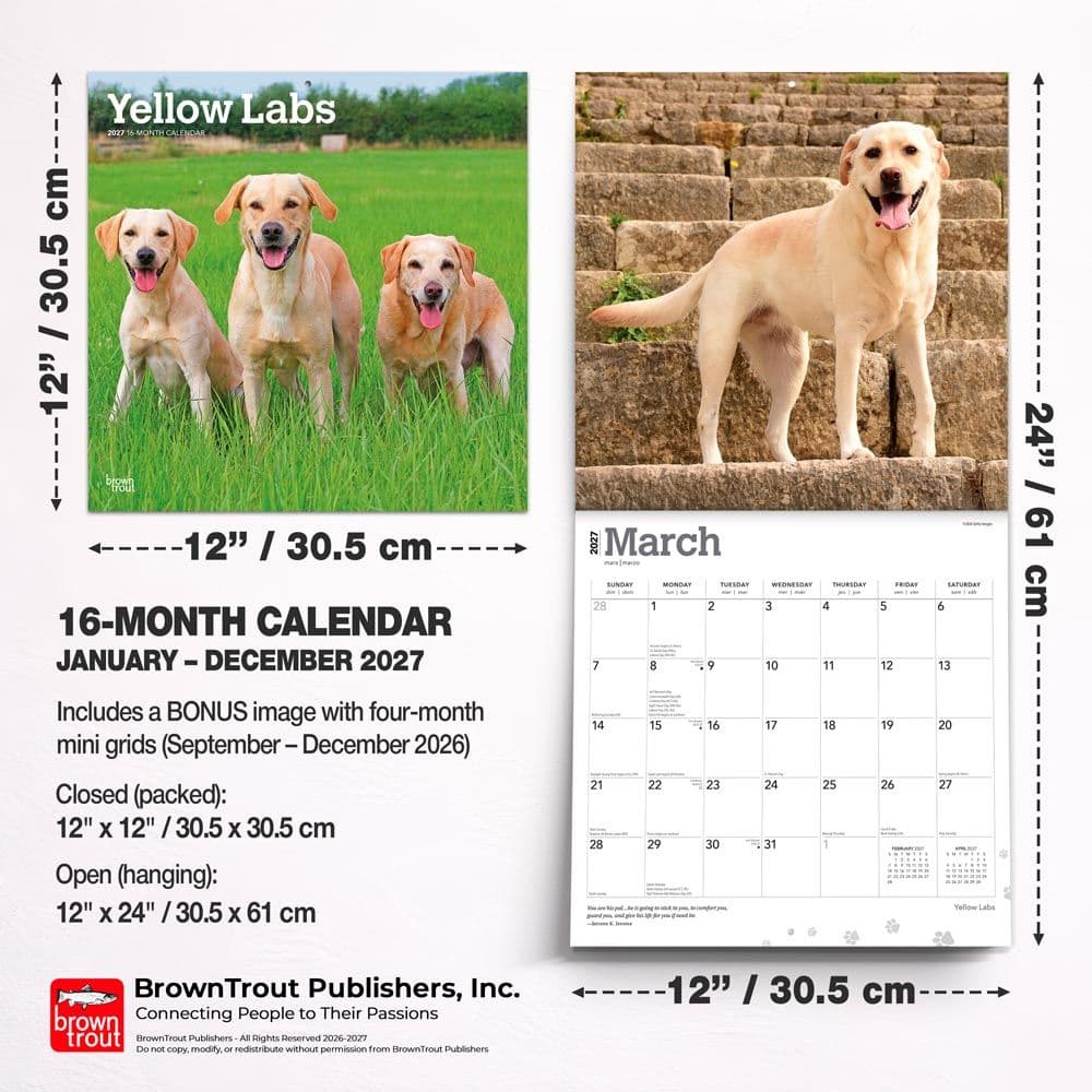Yellow Lab Retriever 2027 Wall Calendar Sixth Alternate Image