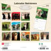 image Lab Retriever 2027 Wall Calendar First Alternate Image
