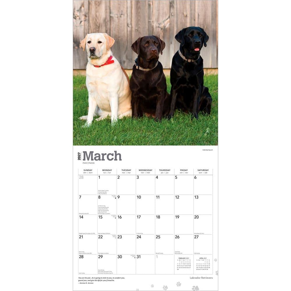 Lab Retriever 2027 Wall Calendar Second Alternate Image