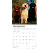 image Lab Retriever 2027 Wall Calendar Third Alternate Image