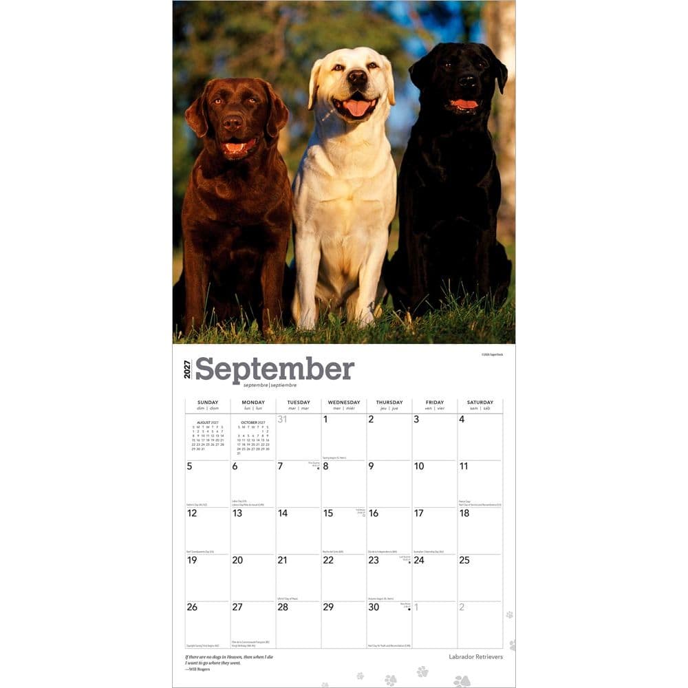 Lab Retriever 2027 Wall Calendar Third Alternate Image