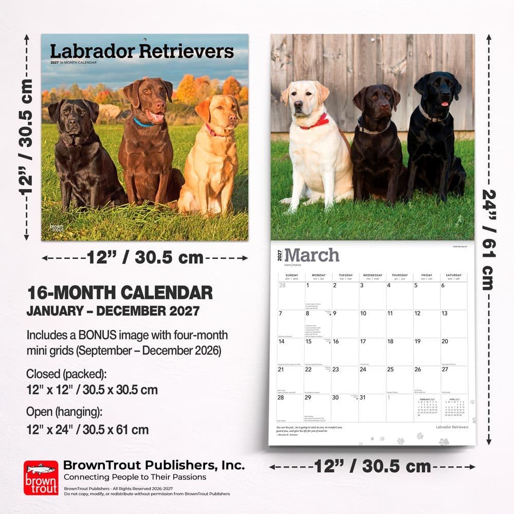 Lab Retriever 2027 Wall Calendar Sixth Alternate Image