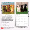 image Lab Retriever 2027 Wall Calendar Sixth Alternate Image