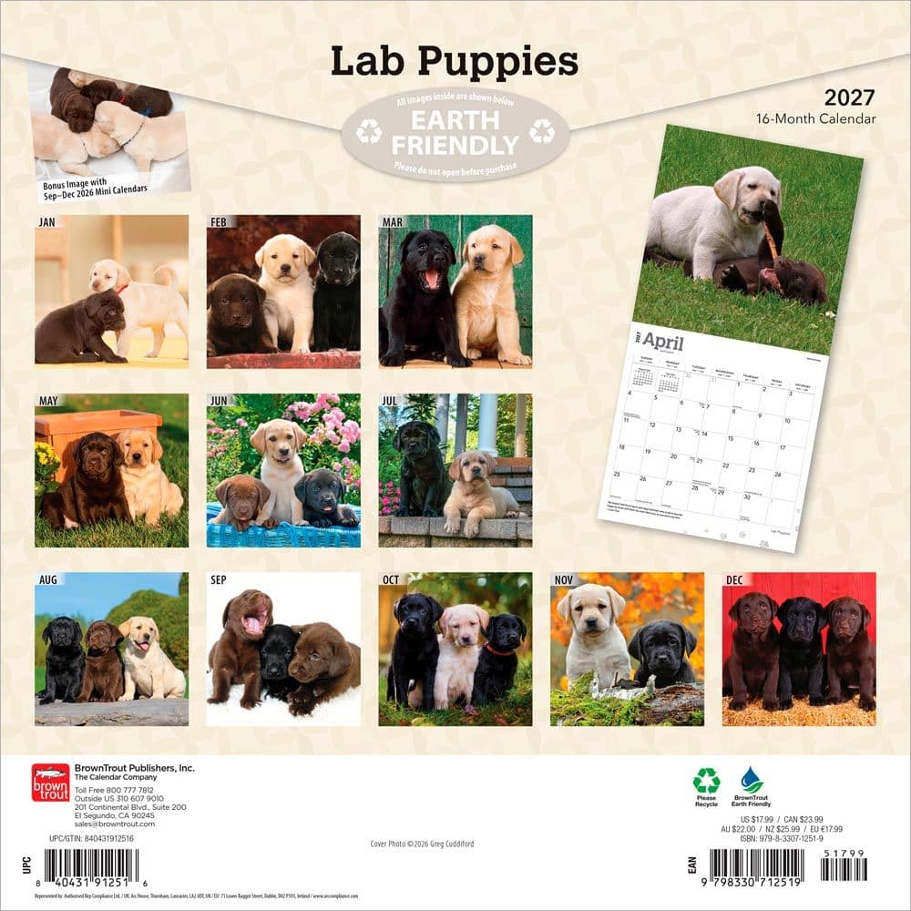 Lab Retriever Puppies 2027 Wall Calendar First Alternate Image