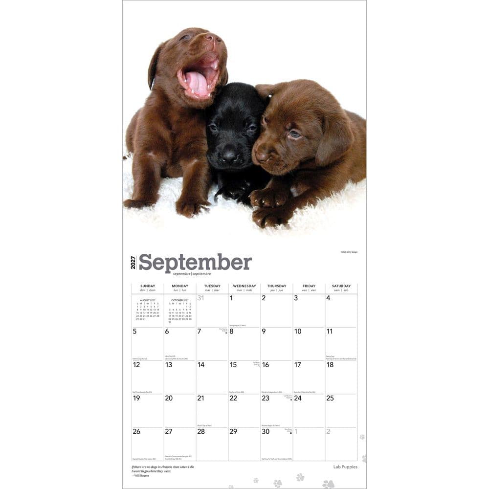 Lab Retriever Puppies 2027 Wall Calendar Third Alternate Image