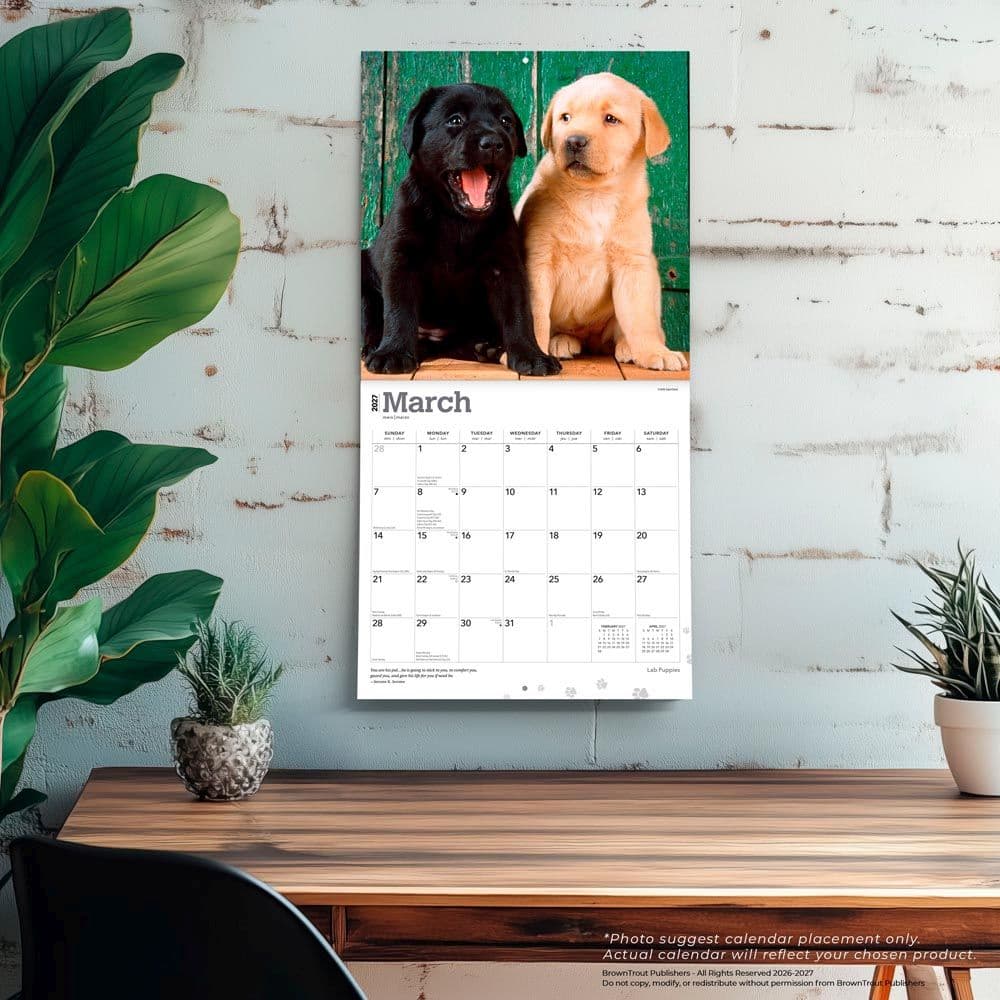 Lab Retriever Puppies 2027 Wall Calendar Fourth Alternate Image