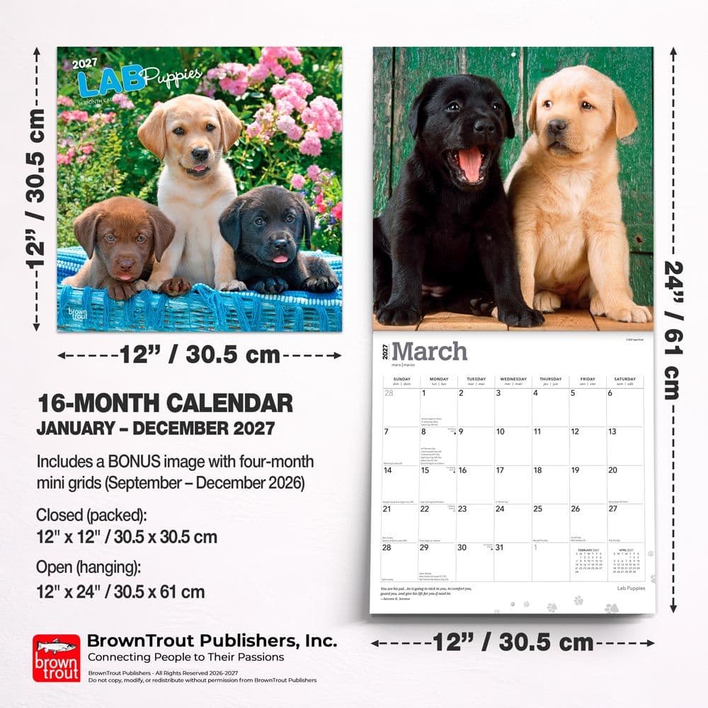 Lab Retriever Puppies 2027 Wall Calendar Sixth Alternate Image
