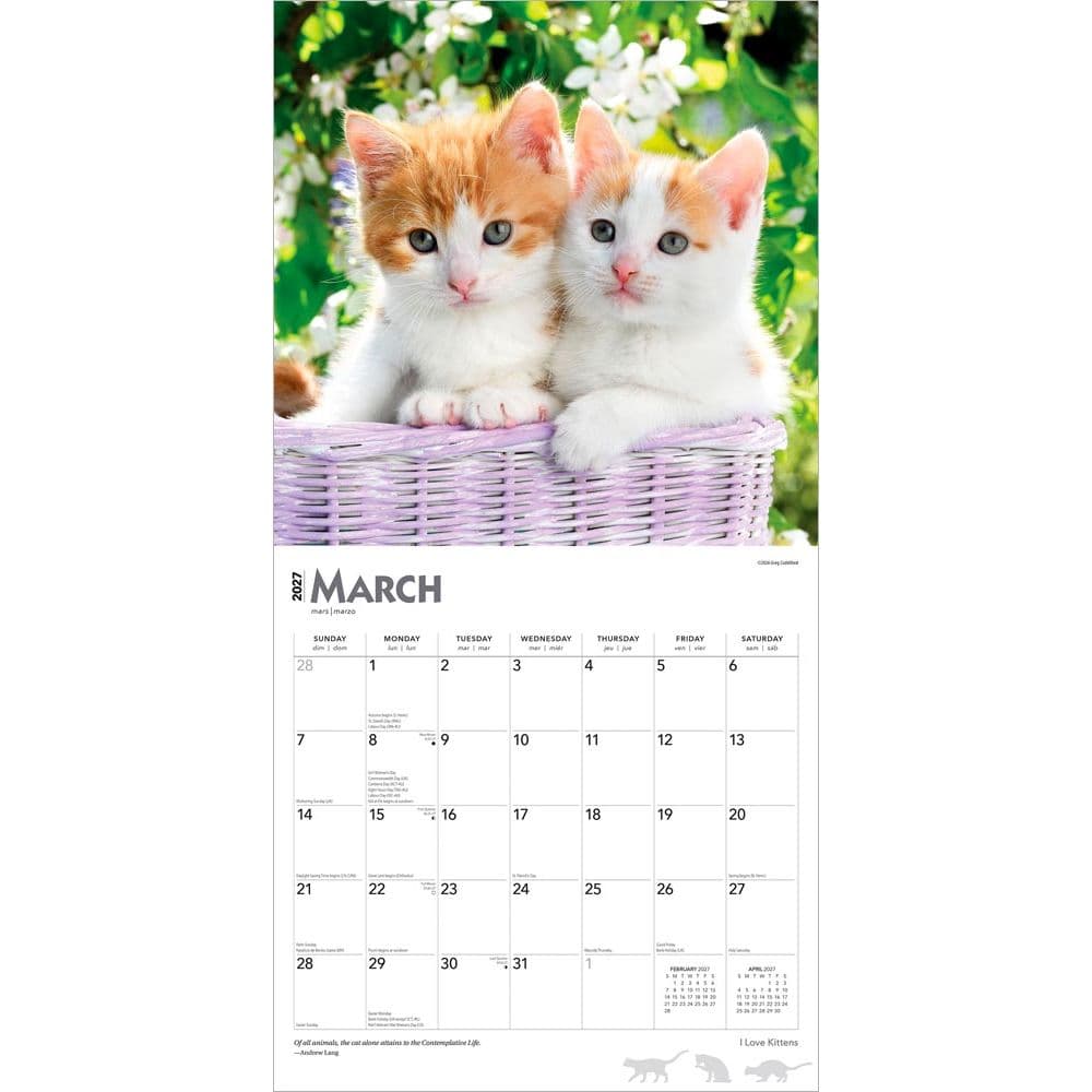 Kittens I Love 2027 Wall Calendar Second Alternate Image