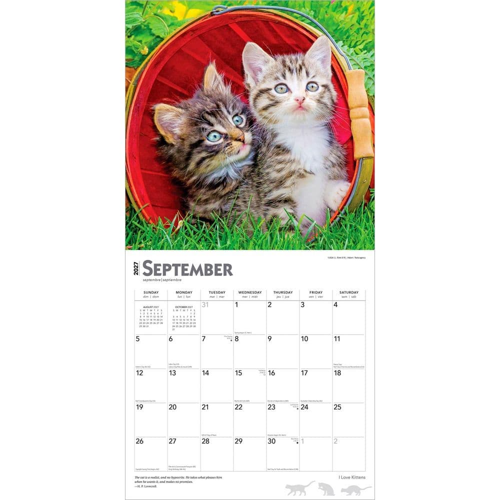 Kittens I Love 2027 Wall Calendar Third Alternate Image