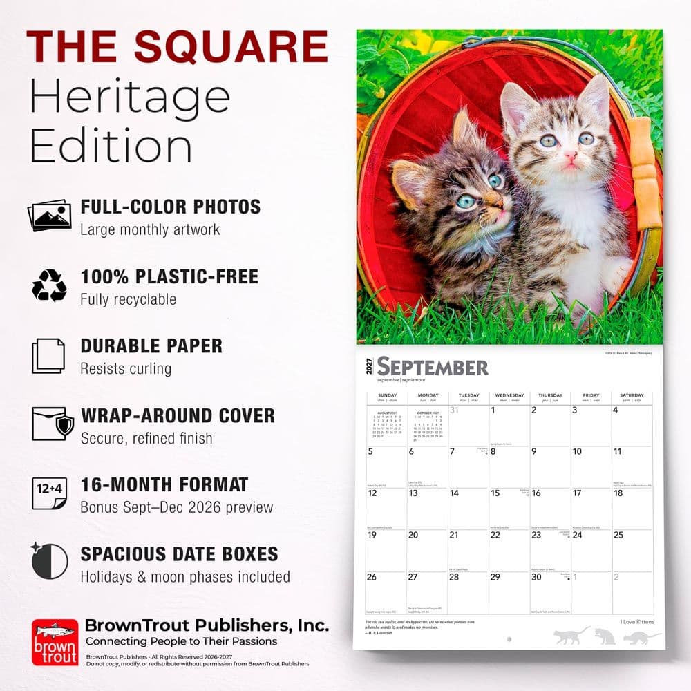 Kittens I Love 2027 Wall Calendar Fifth Alternate Image