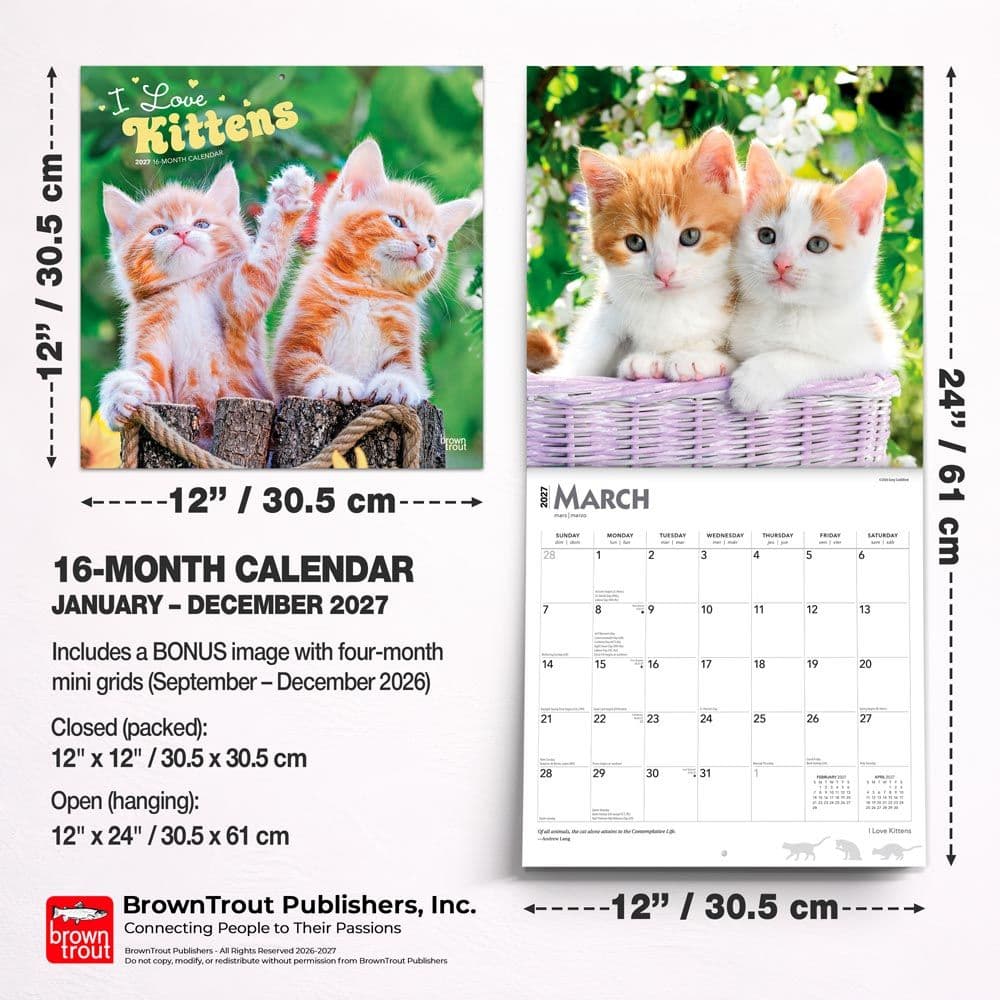 Kittens I Love 2027 Wall Calendar Sixth Alternate Image