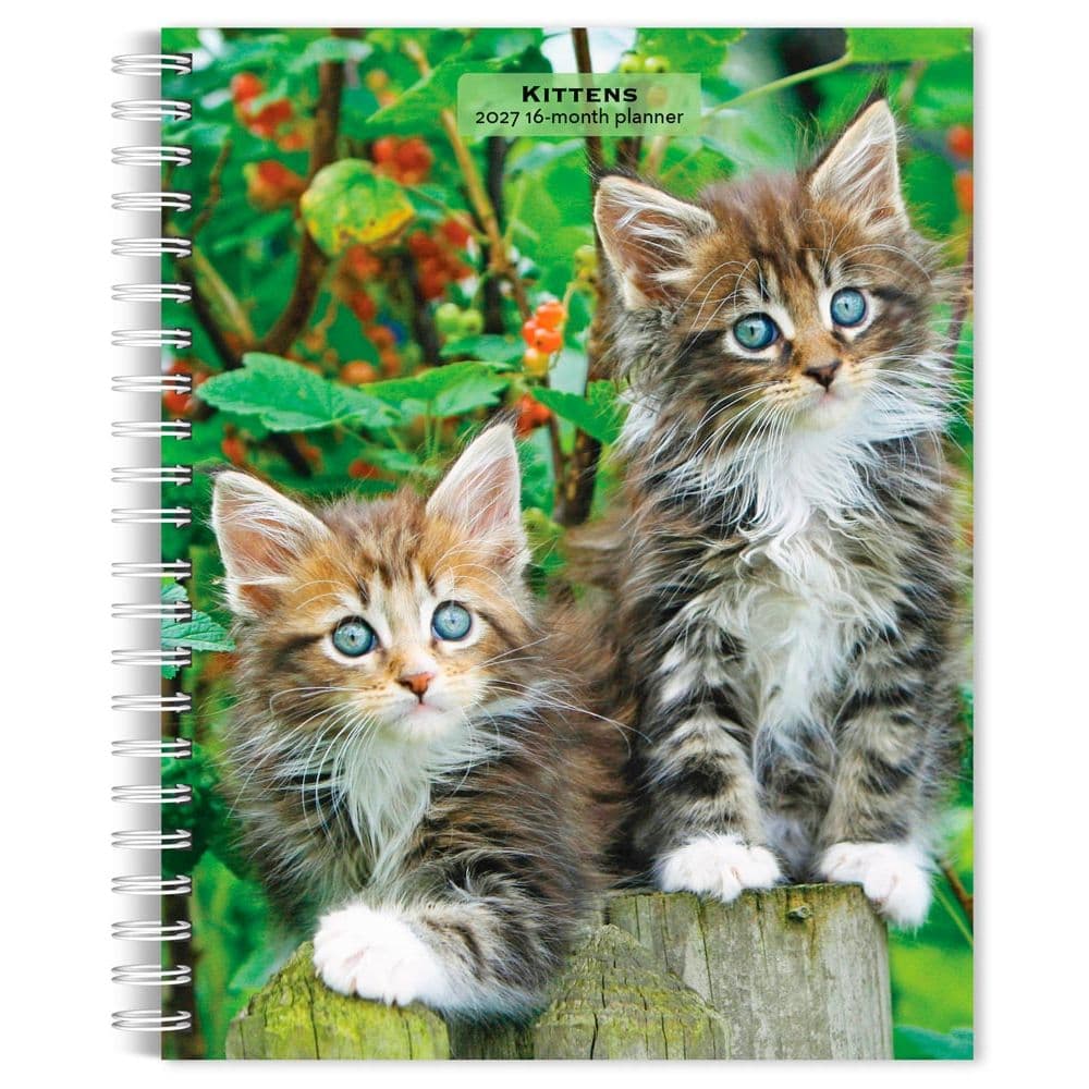 Kittens 2027 Engagement Planner Main Product Image
