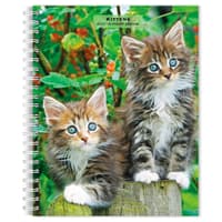 image Kittens 2027 Engagement Planner Main Product Image