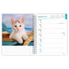 image Kittens 2027 Engagement Planner Second Alternate Image