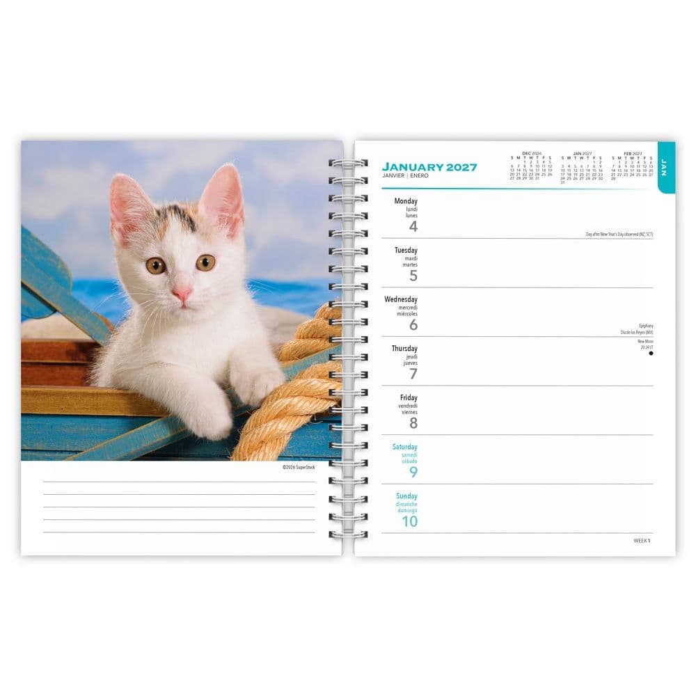 Kittens 2027 Engagement Planner Second Alternate Image