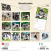 image Keeshonden 2027 Wall Calendar First Alternate Image