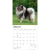 image Keeshonden 2027 Wall Calendar Second Alternate Image