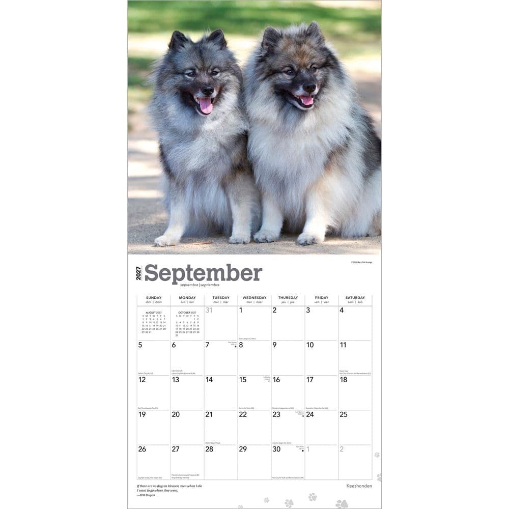 Keeshonden 2027 Wall Calendar Third Alternate Image