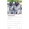 image Keeshonden 2027 Wall Calendar Third Alternate Image