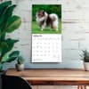 image Keeshonden 2027 Wall Calendar Fourth Alternate Image