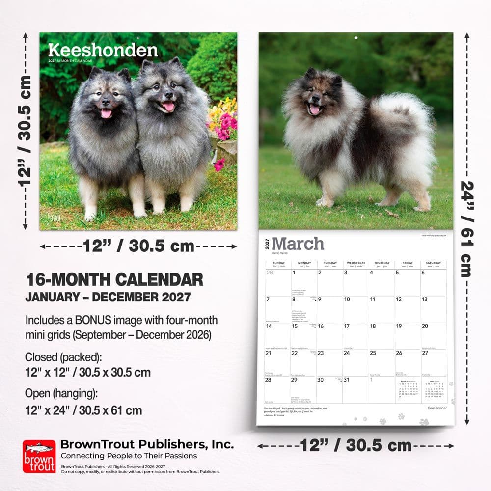 Keeshonden 2027 Wall Calendar Sixth Alternate Image